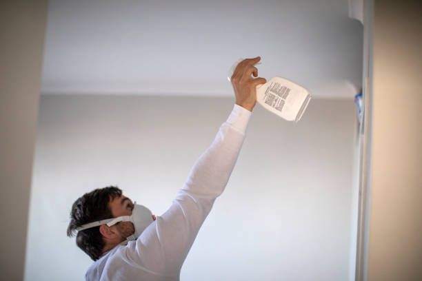 Best Commercial Mold Remediation in Livingston, MT